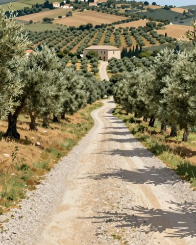 AI-generated illustration of Bol Olive Grove Trail