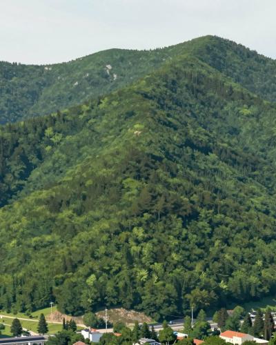 AI-generated illustration of Medvednica Mountain