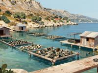 Ston Oyster Farms