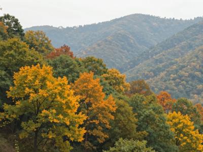 AI-generated illustration of Vrh Sušec (Strahinjščica)