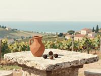 Istria Beyond Wine