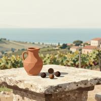 Illustrative header image for Istria Beyond Wine