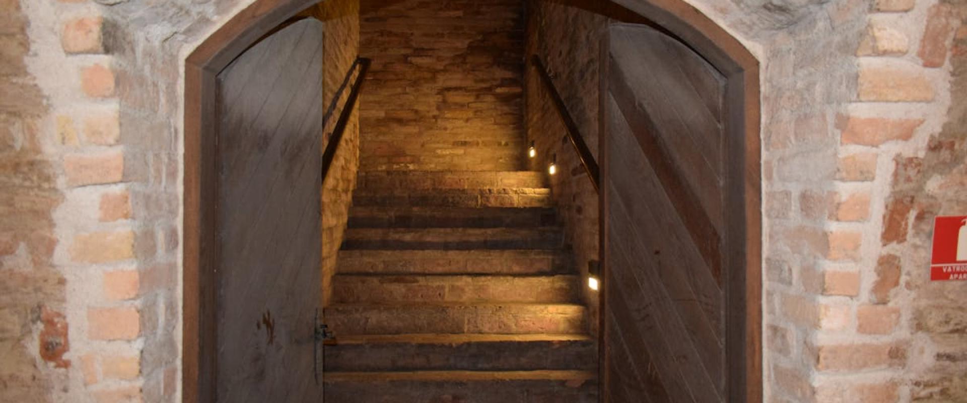 Vineyards of Duga Resa