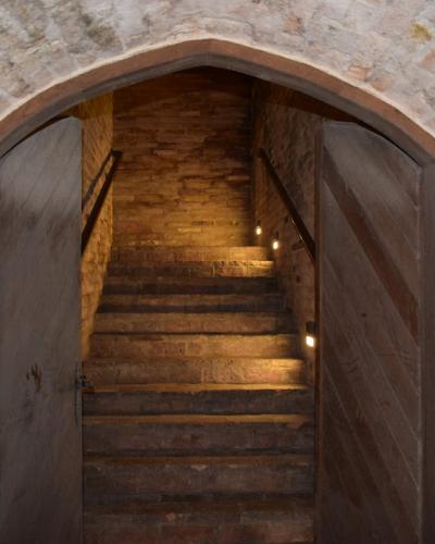 Dimly lit stone stairway with vintage brick walls in Croatian winery.