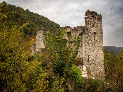 Explore the historic Samobor Castle ruins surrounded by vibrant foliage in Croatia, offering a glimpse into the past.