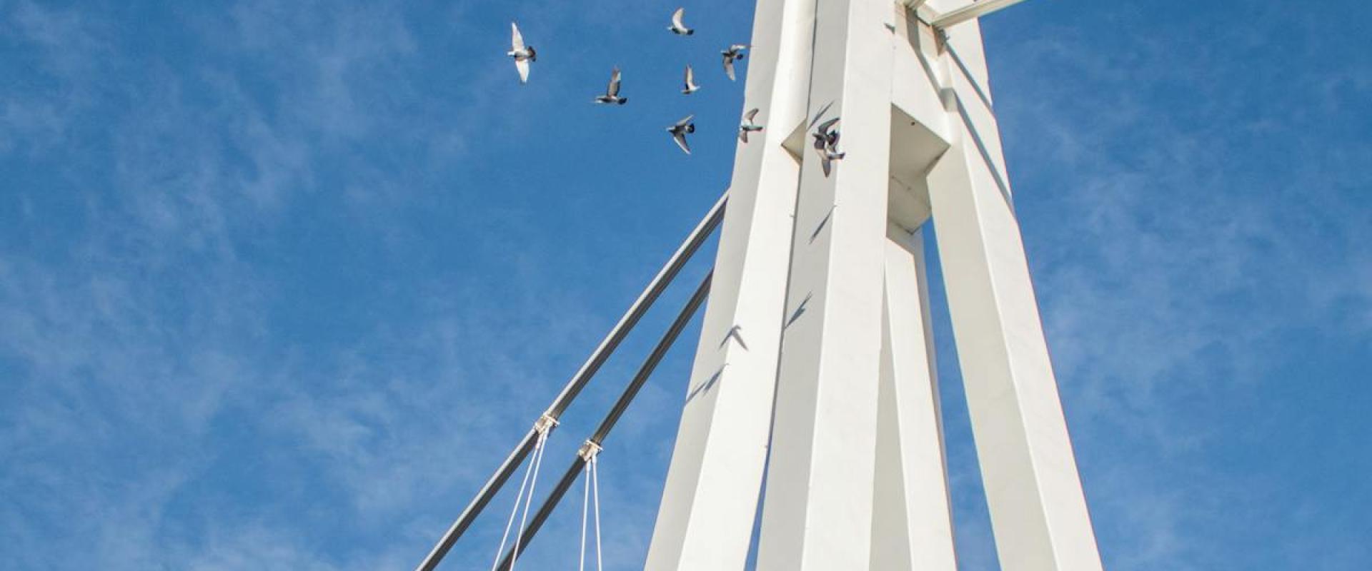 Pedestrian Bridge Over the Drava
