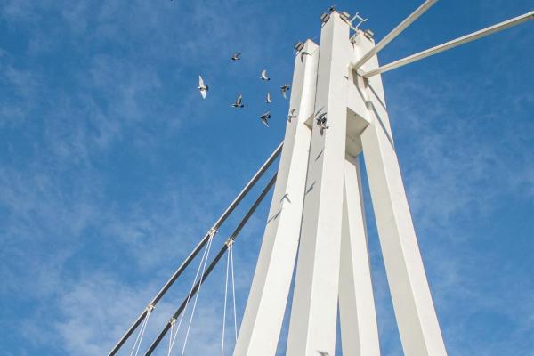 Pedestrian Bridge Over the Drava