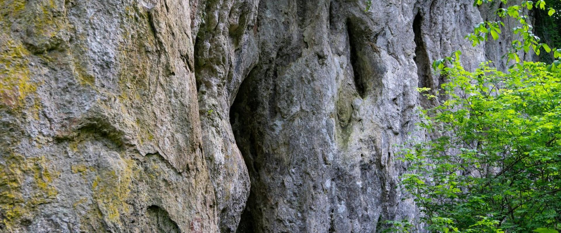 Explore the lush rocky terrain and foliage of Voćin's nature trails, Croatia.