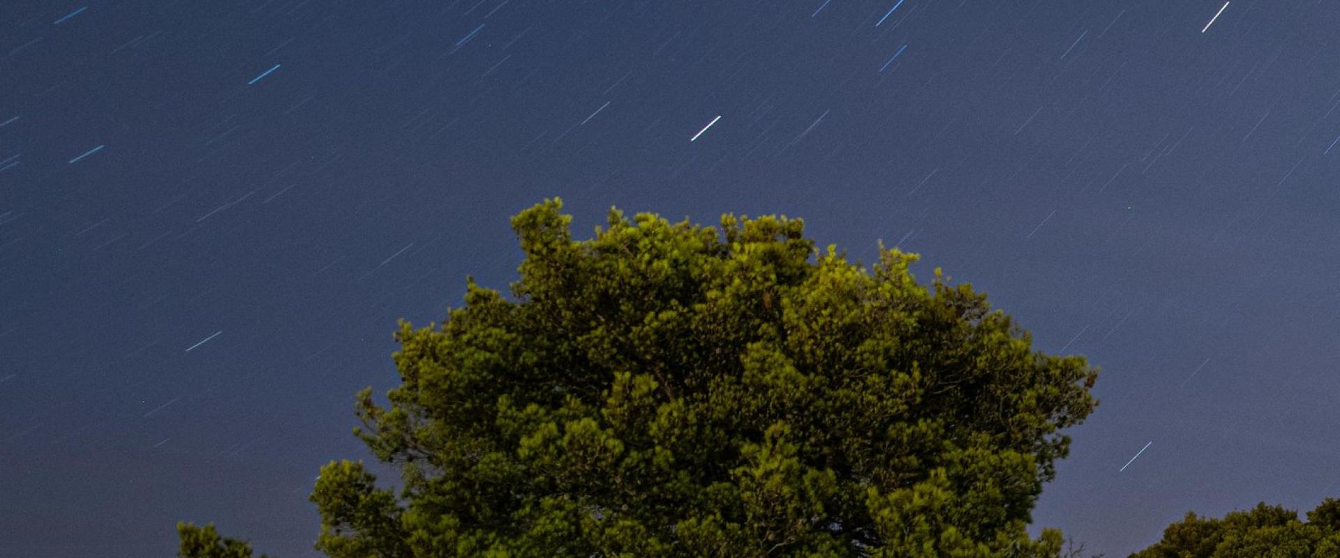 Beautiful nightscape with star trails over a lush forest in Croatia.