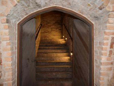 Dimly lit stone stairway with vintage brick walls in Croatian winery.