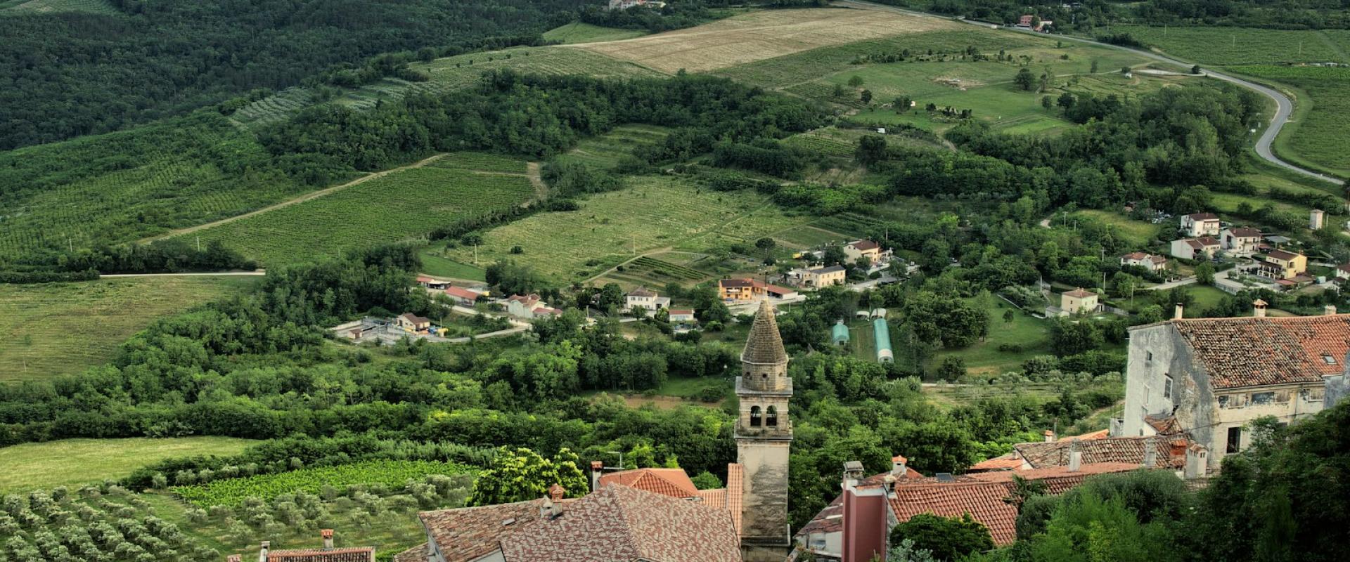 Culinary Luxury in Istria