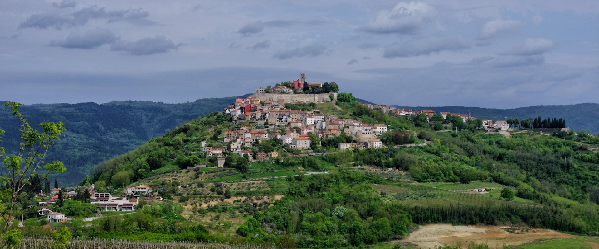 Harvest Season in Istria