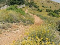 Hiking and Biking Trails in Korenica