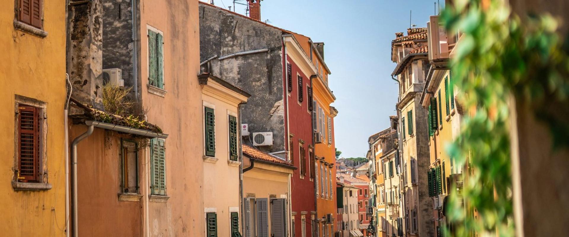 people on road near houses