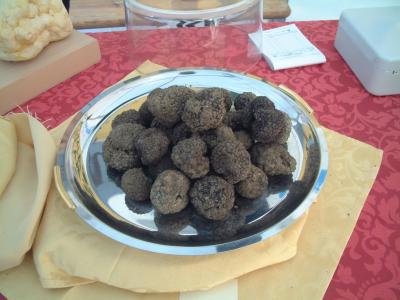 Truffles black Croatia