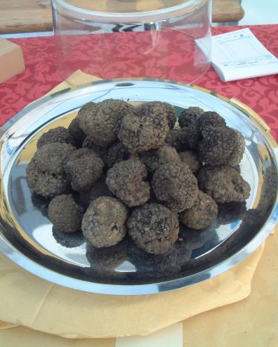 Truffles black Croatia