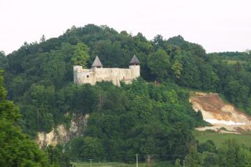 Wine Tours
