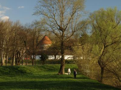 Sisak