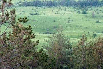 Vodice, Lanišće, Хорватия - panoramio (1)