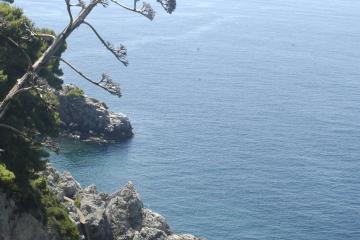 Dubrovnik, Croatia - panoramio (15)