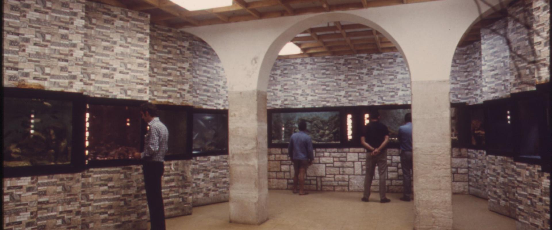 Rovinj Aquarium