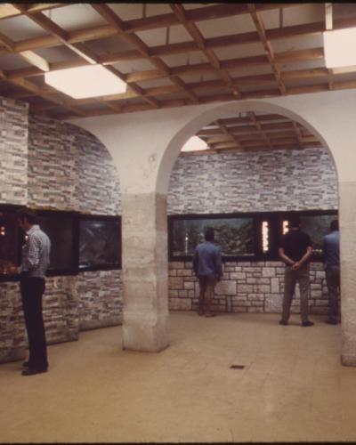 THE AQUARIUM AT THE ROVENJ BRANCH OF THE RUDER BOSKOVIC INSTITUTE - NARA - 549350