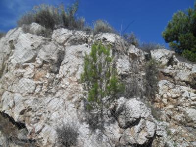 Otok Lastovo 14