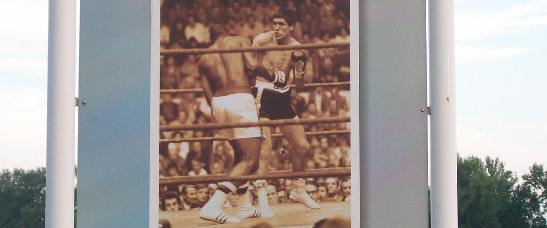 Mate Parlov spomen ploča Jarun