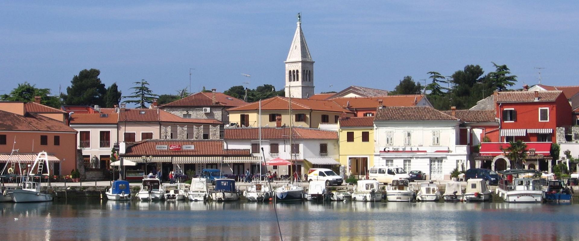 Truffle Hunting in Istria