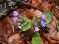 Croatia for First-Timers