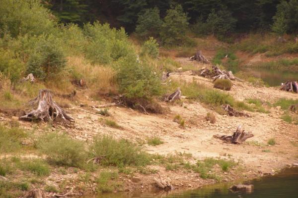 Lake Lepenica