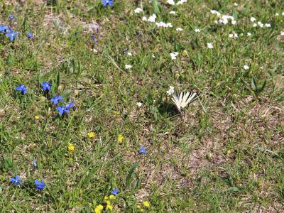 Nacionalni park Sjeverni Velebit 6