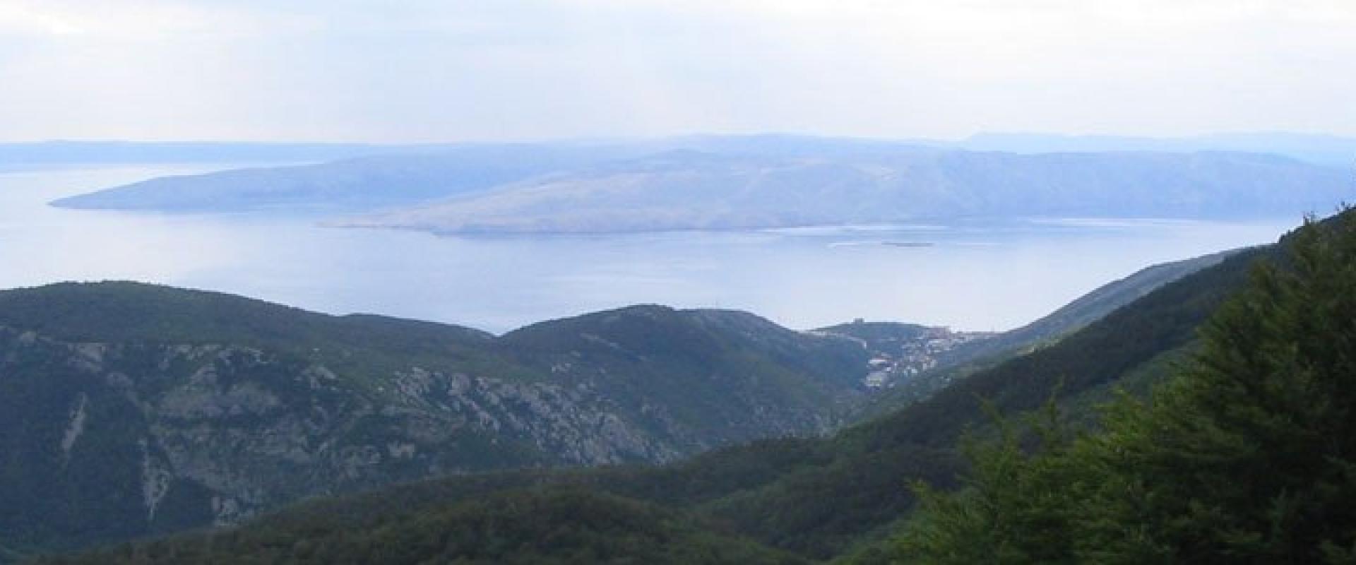 Vratnik