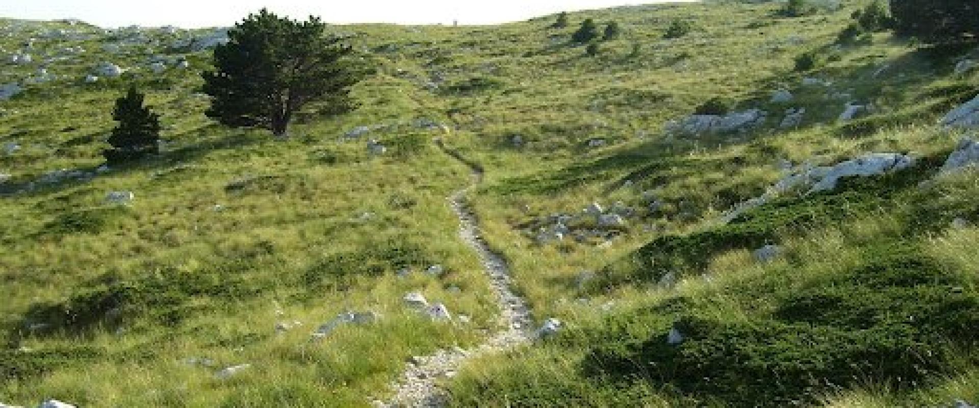 Staza na Bikovu 0147