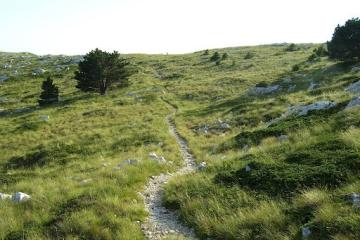 Traditional Crafts in Pag Island