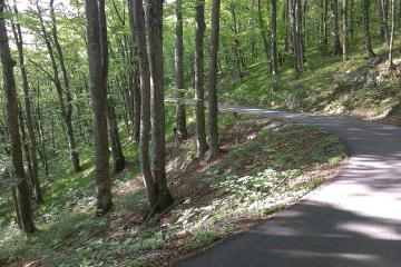 53231, Plitvička Jezera, Croatia - panoramio (8)