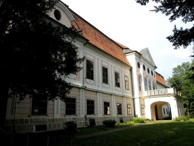 Dvorac Jankovic u Daruvaru