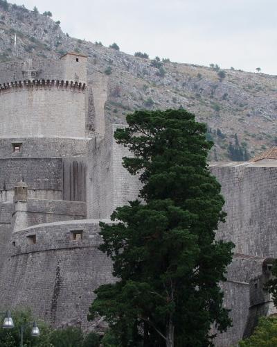 Dubrovnik - baszta Minceta - Minceta tower - panoramio
