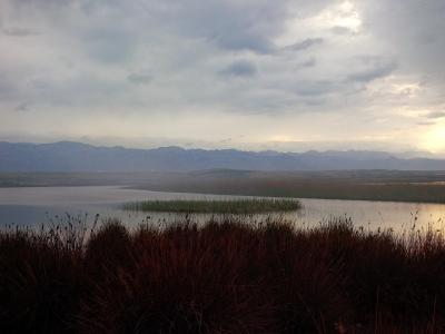 A landscape photograph showing a wetland with reeds in the foreground and a body of water, backed by distant mountains under a cloudy sky; the filename includes the text "Velo i Malo Blato, Pag".