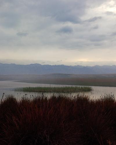 A landscape photograph showing a wetland with reeds in the foreground and a body of water, backed by distant mountains under a cloudy sky; the filename includes the text "Velo i Malo Blato, Pag".