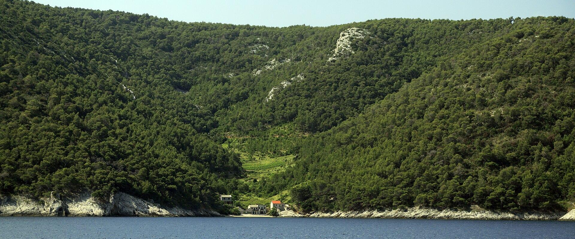 J32 697 Hvar, Lozna