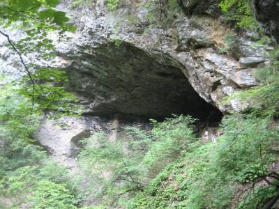 A large, dark cave entrance set into a limestone cliff face, surrounded by dense green forest vegetation, with a wooden walkway and two people visible at the entrance.