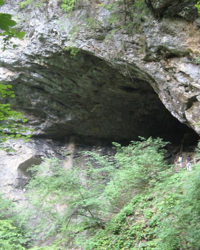 A large, dark cave entrance set into a limestone cliff face, surrounded by dense green forest vegetation, with a wooden walkway and two people visible at the entrance.