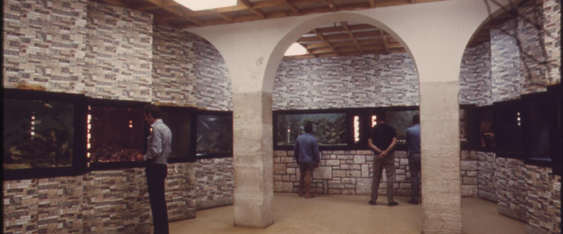 Rovinj Aquarium
