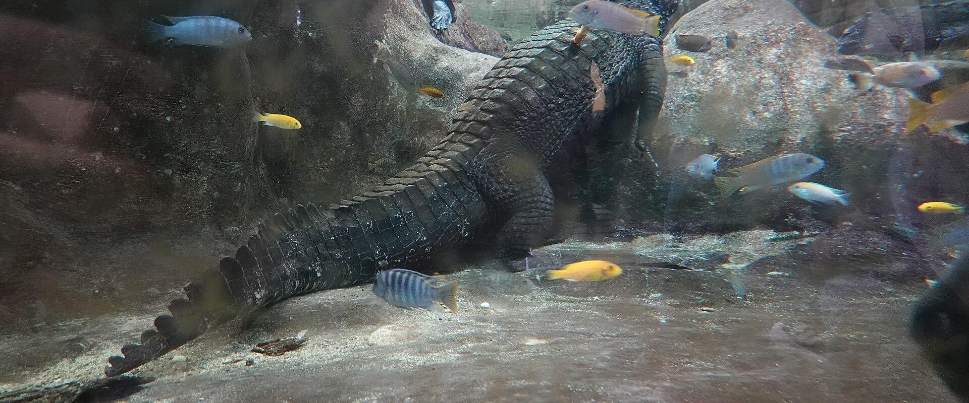 Zagreb Zoo