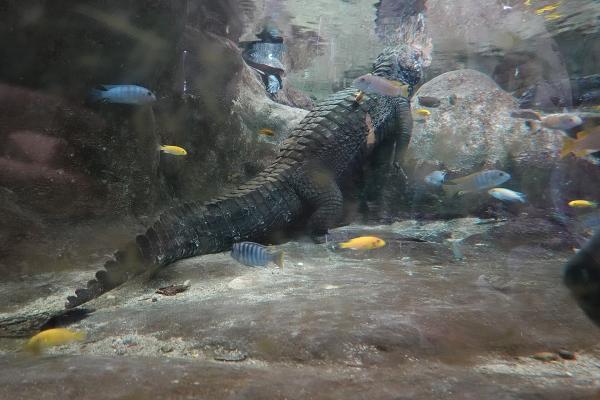 Zagreb Zoo