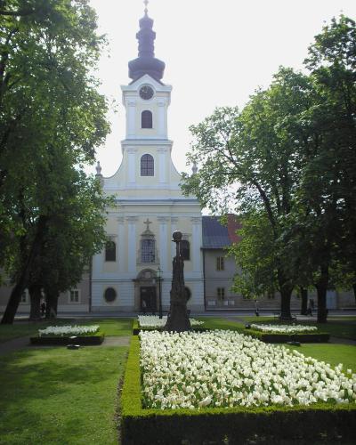 Bjelovar Cathedral of St. Teresa behind its flower gardens