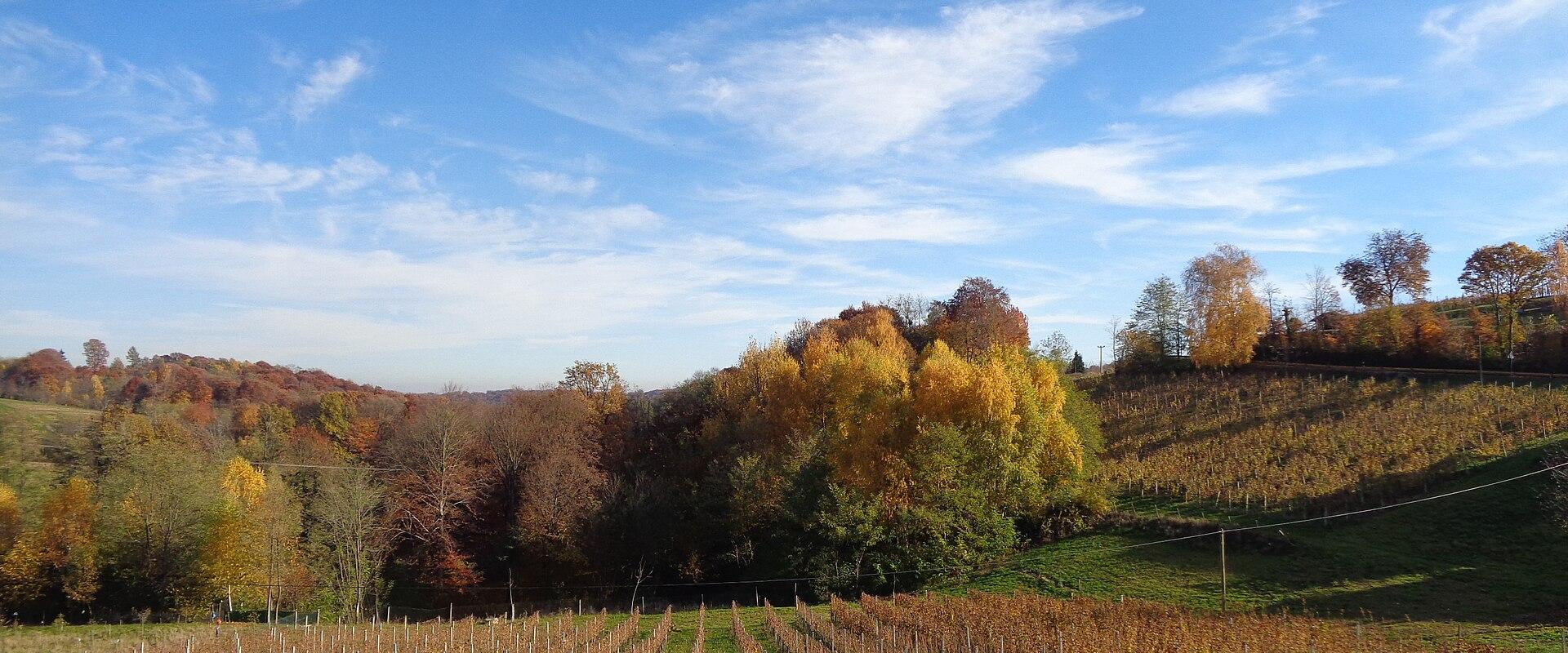 Characteristic Rolling Landscape