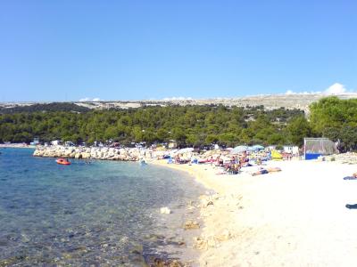 A sunny beach scene with a white pebble shore, turquoise water, and a line of pine trees and camping structures along the coast, including a blue volleyball net on the right.