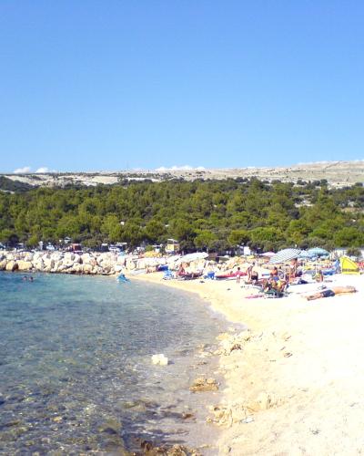 A sunny beach scene with a white pebble shore, turquoise water, and a line of pine trees and camping structures along the coast, including a blue volleyball net on the right.